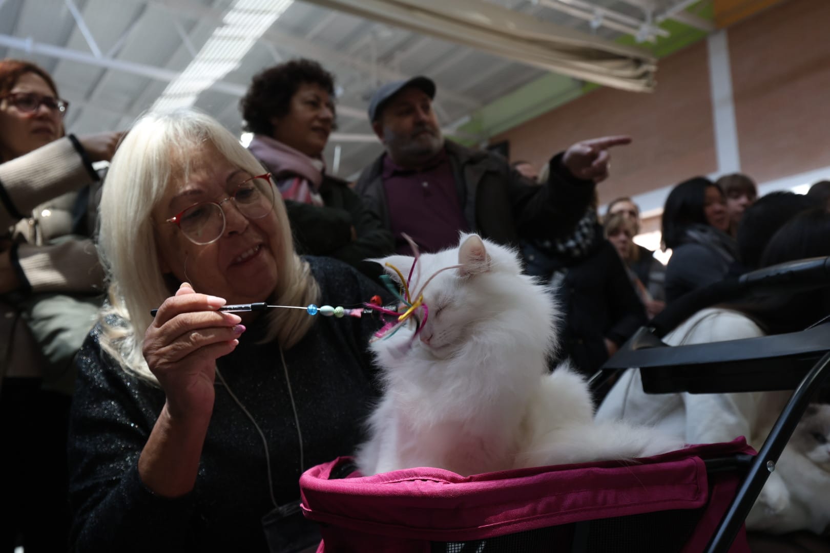 Una participantes masajeando a su gato. | FERNANDO OTERO Una participantes masajeando a su gato. | FERNANDO OTERO