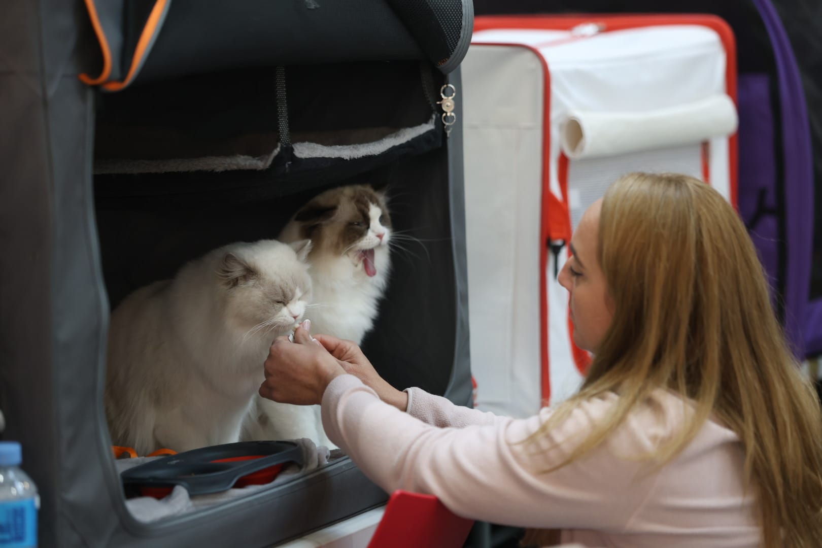 La cita ha sido todo un "éxito". | FERNANDO OTERO La cita ha sido todo un "éxito". | FERNANDO OTERO