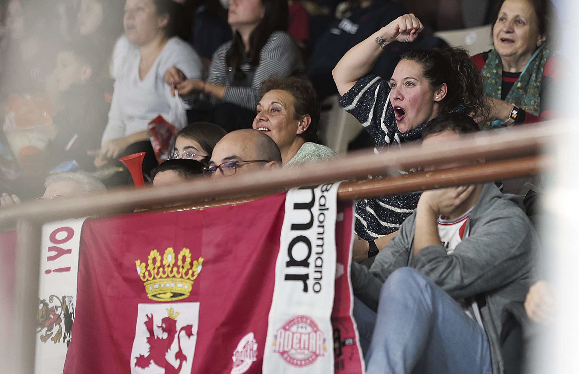La afición del Ademar, con la bandera de León frente al Alicante. | FERNANDO OTERO