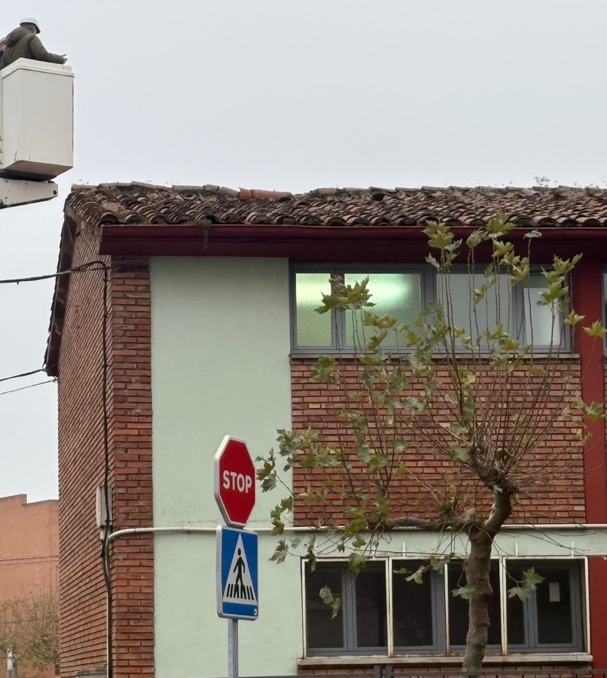 Estado que presenta el tejado del colegio Trepalio de Trobajo tras años de abandono. | L.N.C.