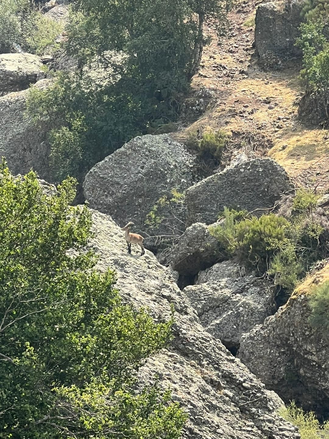 Vista del paraje conocido como el ‘Caminito de la Reina’, en el municipio de Boca de Huérgano. Vista del paraje conocido como el ‘Caminito de la Reina’, en el municipio de Boca de Huérgano.