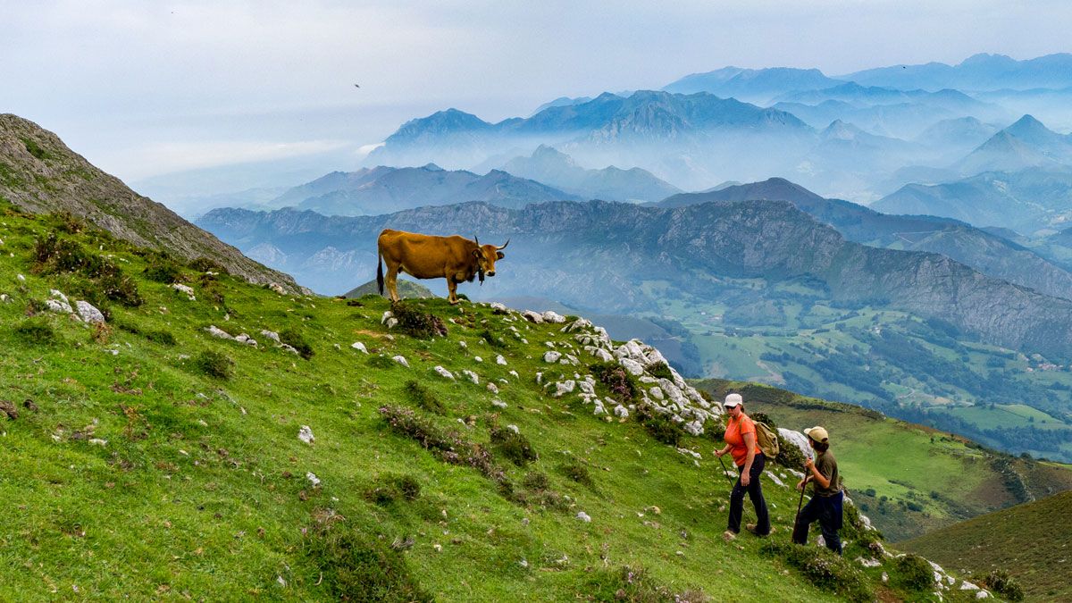 Ascendiendo el último tramo. | VICENTE GARCÍA