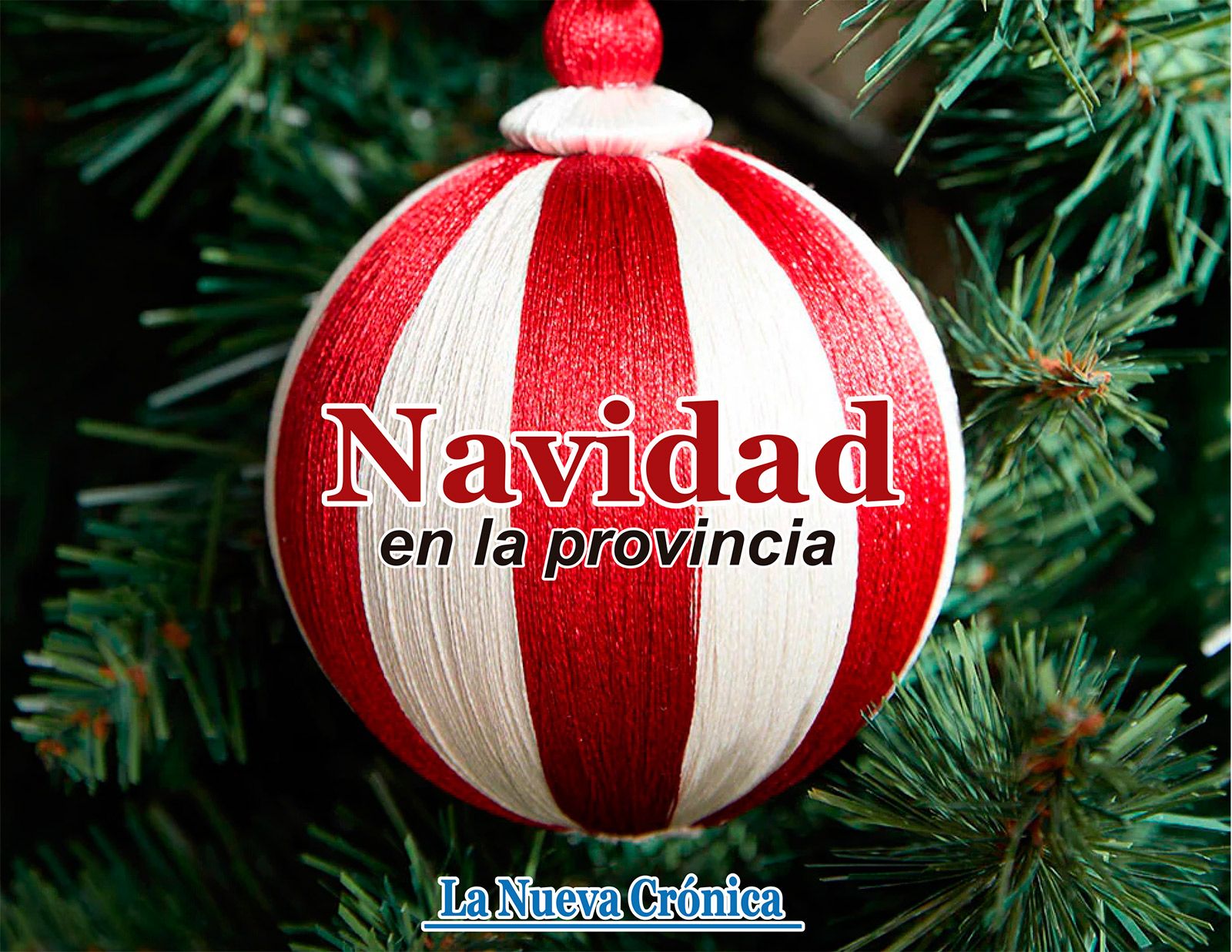 Portada del especial