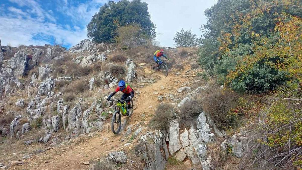 Zona Alfa dispone de un total de 19 recorridos MTB con una longitud aproximada de 120 kilómetros.