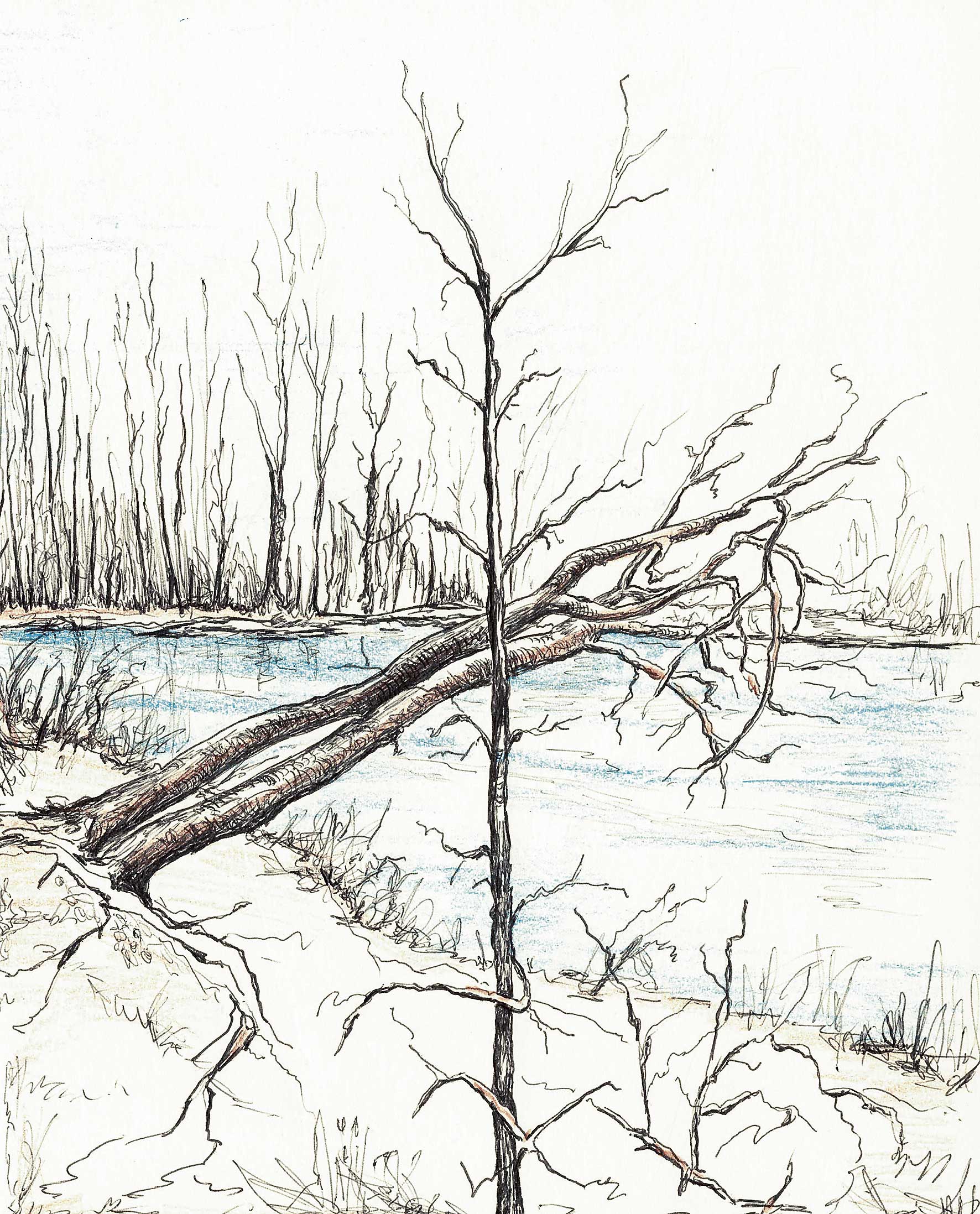 ¿Cuándo esperar ¿Cuándo soltar?