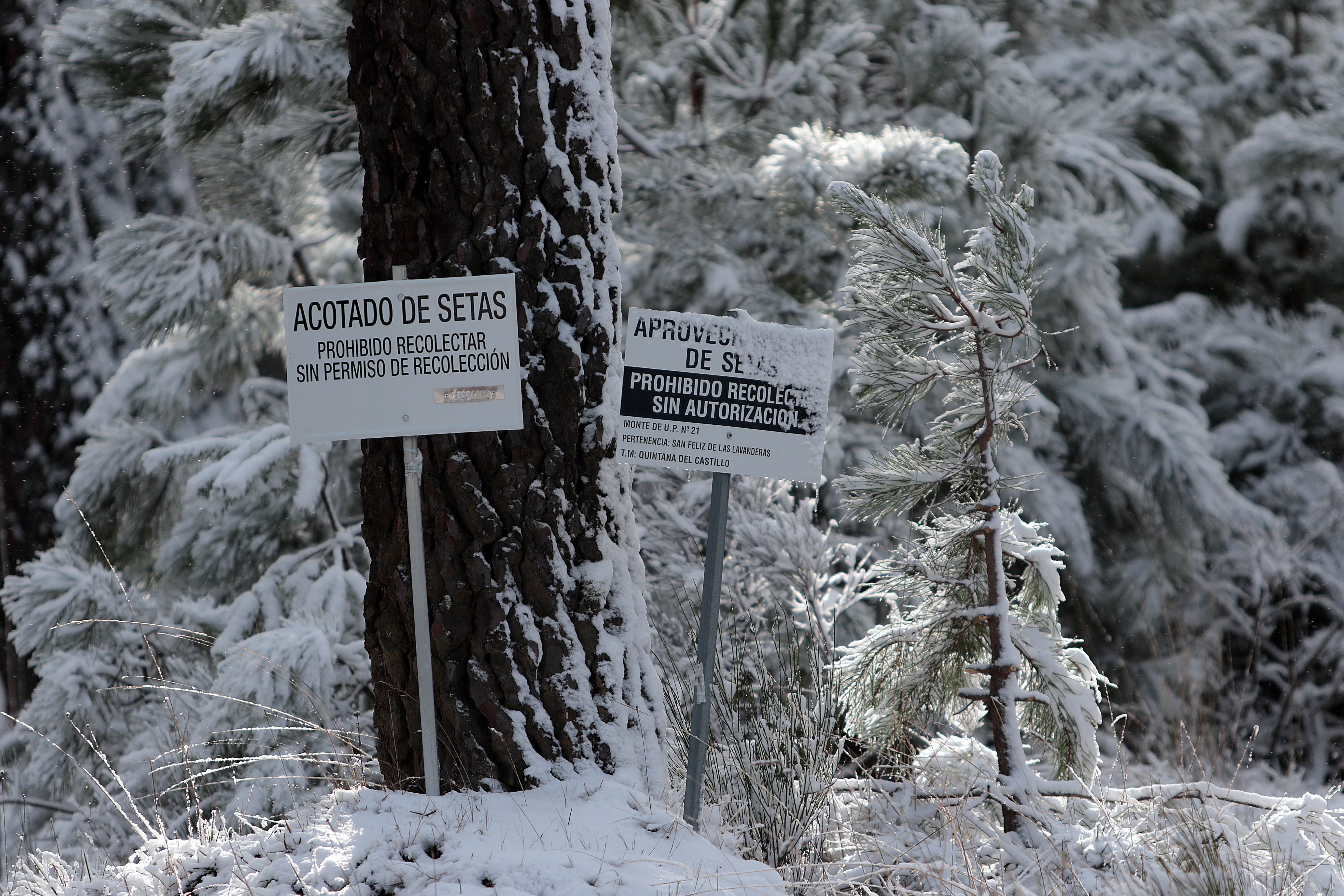 La nieve tiñe de blanco las montañas de León | PEIO GARCÍA (Ical)