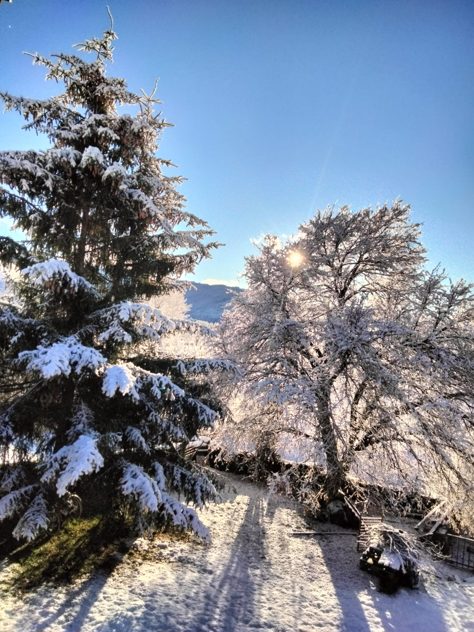 La nieve tiñe de blanco las montañas de León | L.N.C.