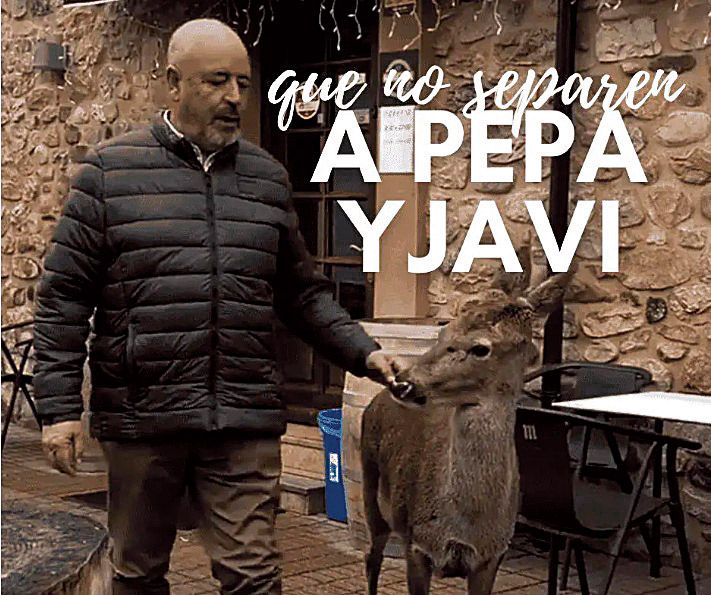 Carátula de la recogida de firmas para que la cierva Pepa siga viviendo con Javi el del Cruce de La Vecilla. | ASOCIACIÓN EMPATÍA