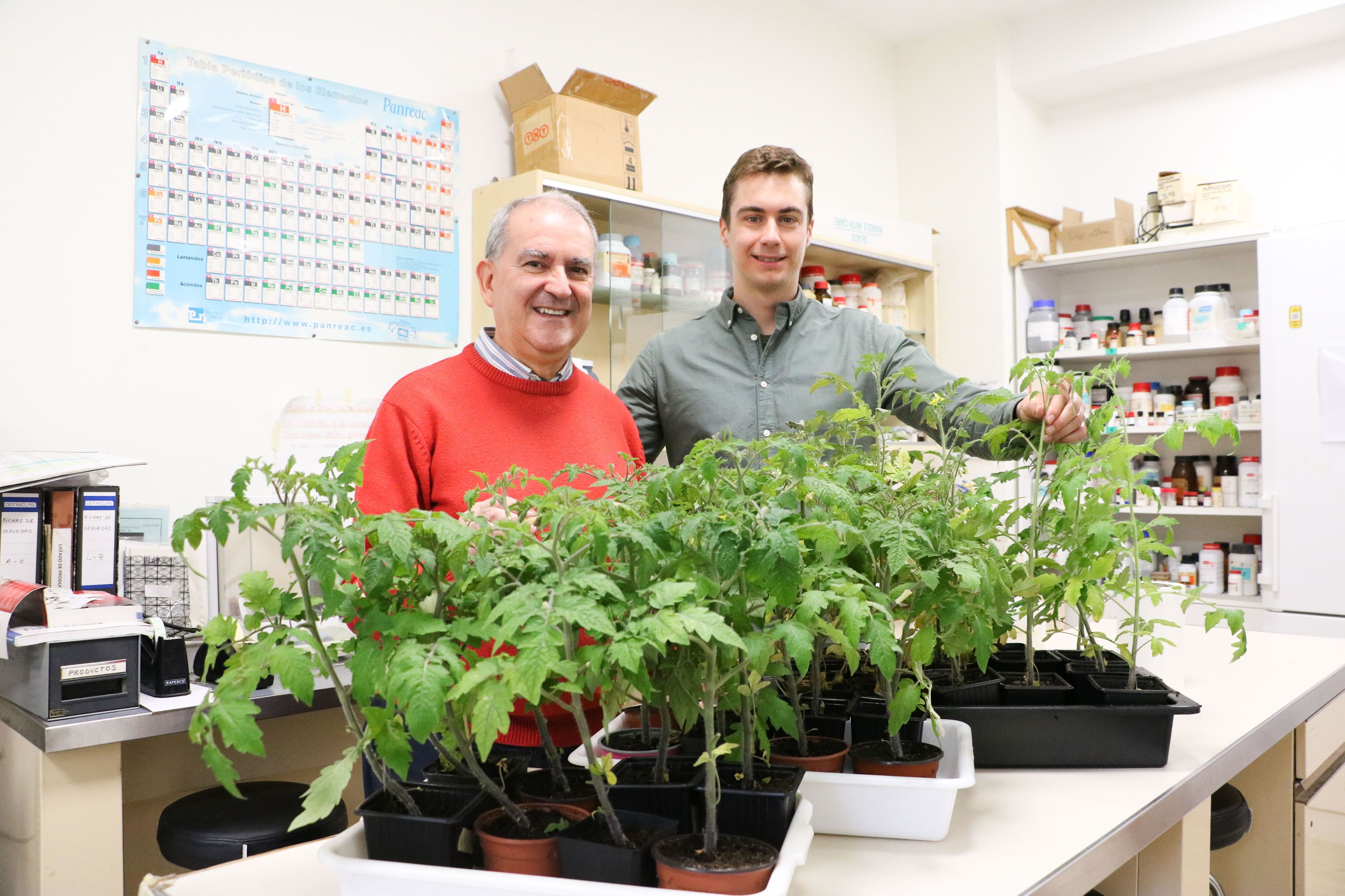 José Luis Acebes Arranz y Carlos Frey Domínguez son los autores del artículo. | L.N.C.