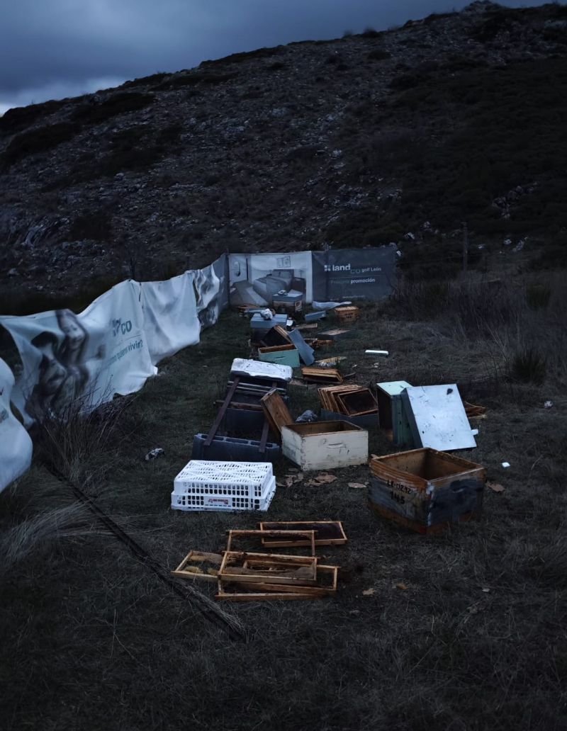 Explotacion apícola Villasecino2