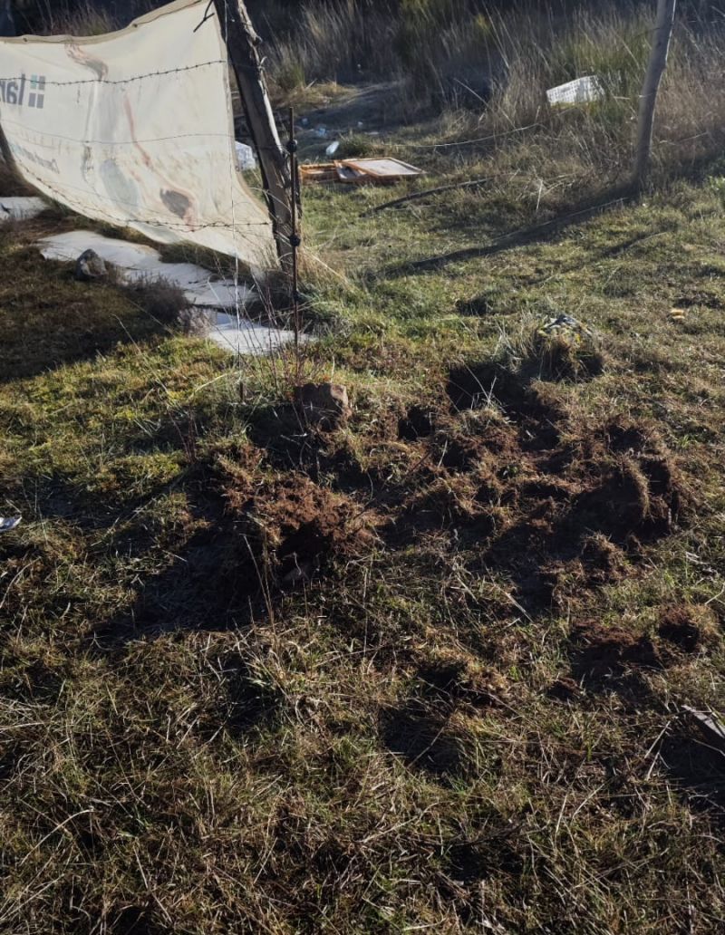 Explotacion apícola VillasecinoBabia