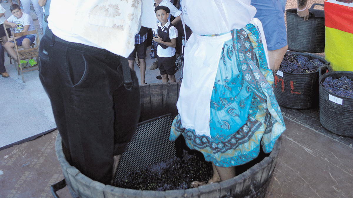 Concurso de pisada de uva ayer en la Fiesta de la Vendimia de Cacabelos.| A. Cardenal