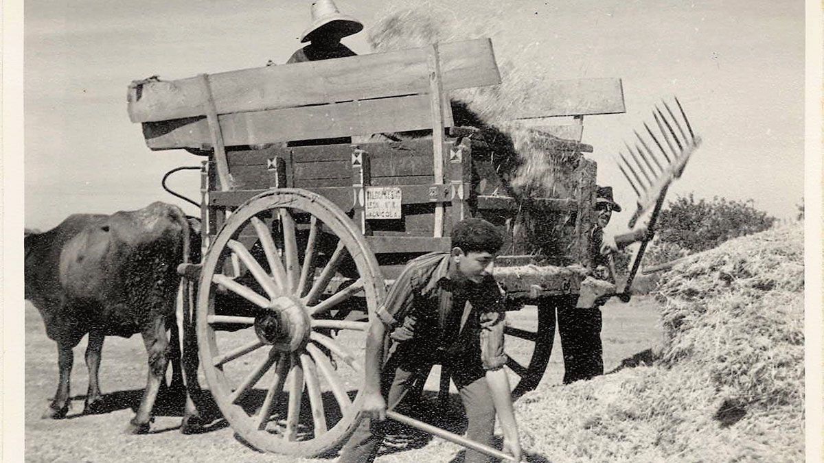 Afanes diarios de los vecinos de La Sobarriba, en este caso José María Tascón.