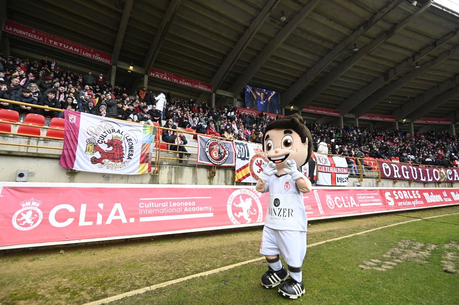 Cultural   Real B (21)