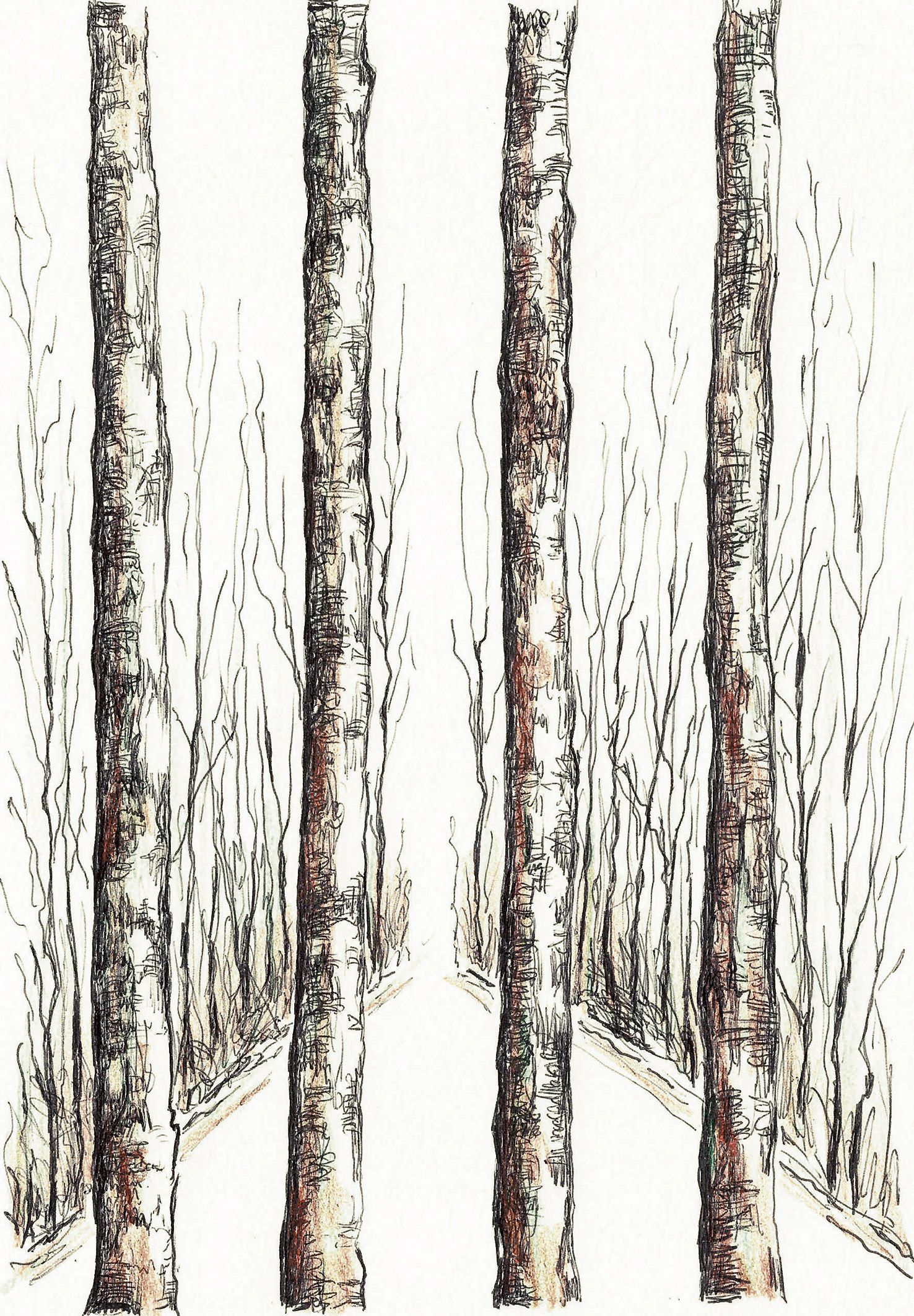 ¿Vives o solo respiras?