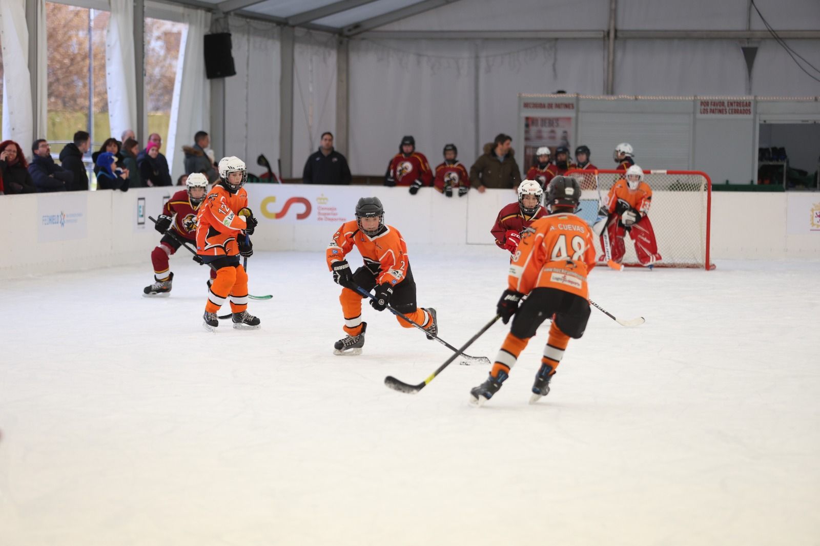 La pista de hielo del Espacio León acoge durante este fin de semana el Festival de Hockey Hielo U13. FERNANDO OTERO (6)