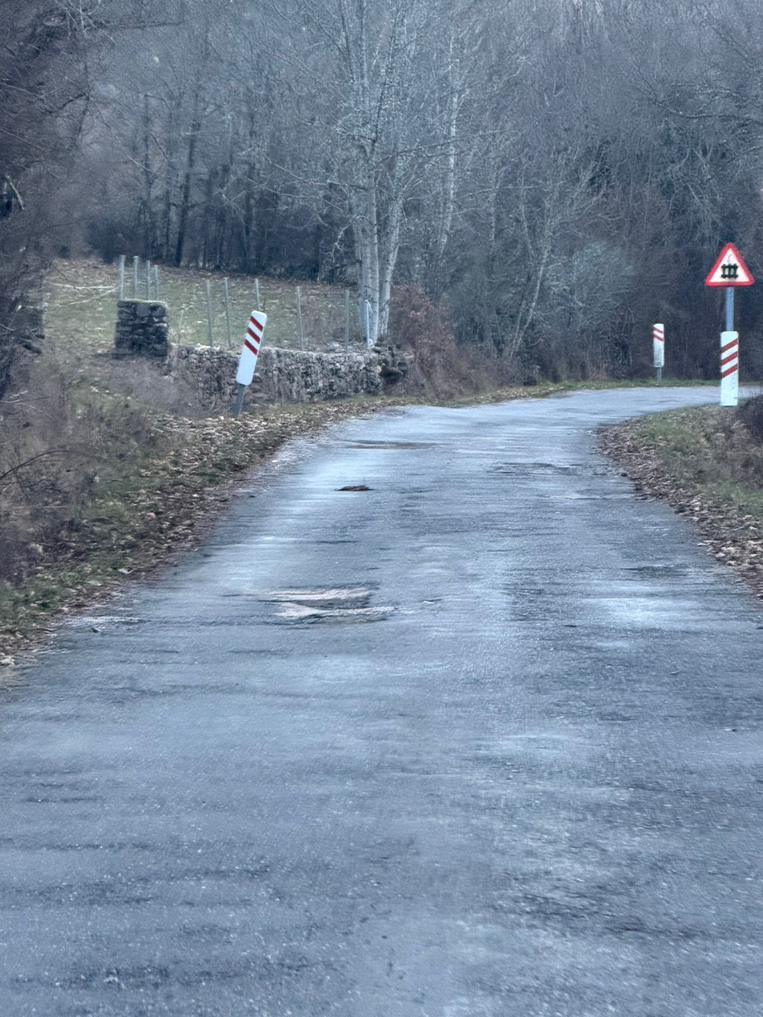 Estado de la carretera de acceso a la localidad de Aviados, en el municipio de Valdepiélago.