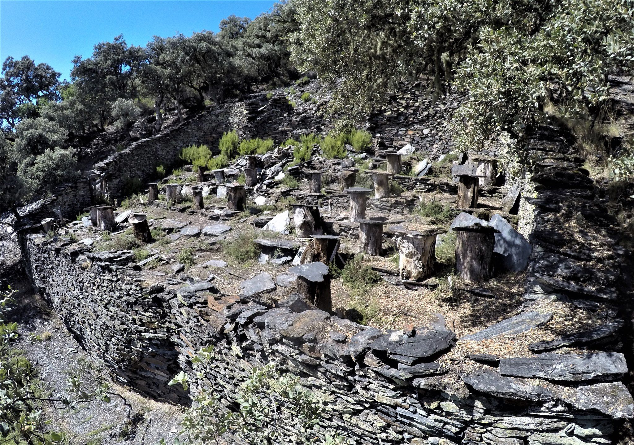 Parte de los cortines de Fonfría.