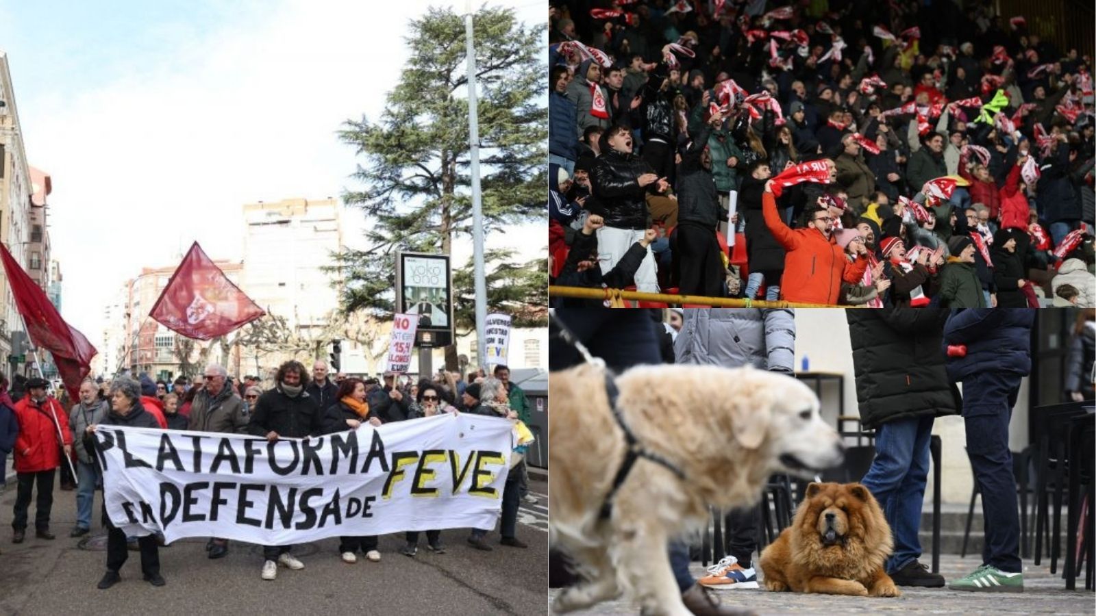 Todos los planes de los que disfrutar en León del 16 al 18 de enero de 2026. | FERNANDO OTERO/ SAÚL ARÉN