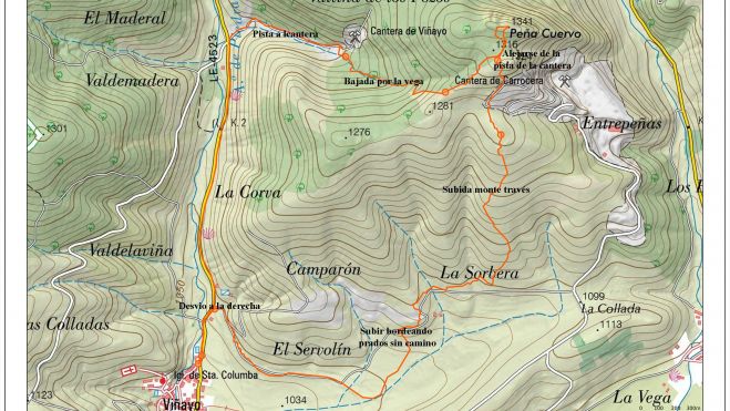 Viñayo Cuervo copia