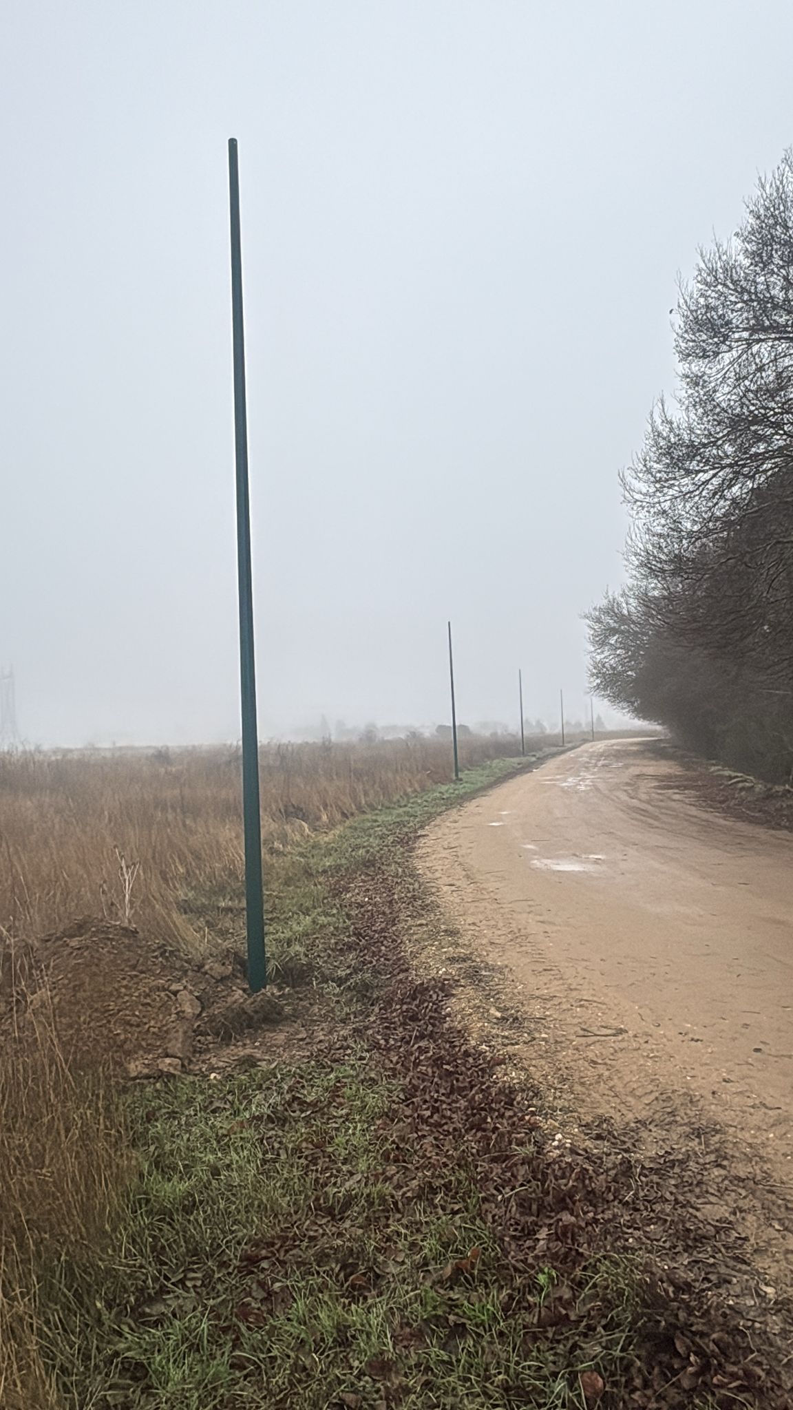 Instalación de los postes para las luminarias en la zona. | L.N.C.