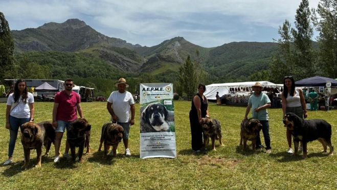 Entre las acciones más visibles de la AEPME destacan las exposiciones y concursos monográficos. Entre las acciones más visibles de la AEPME destacan las exposiciones y concursos monográficos.