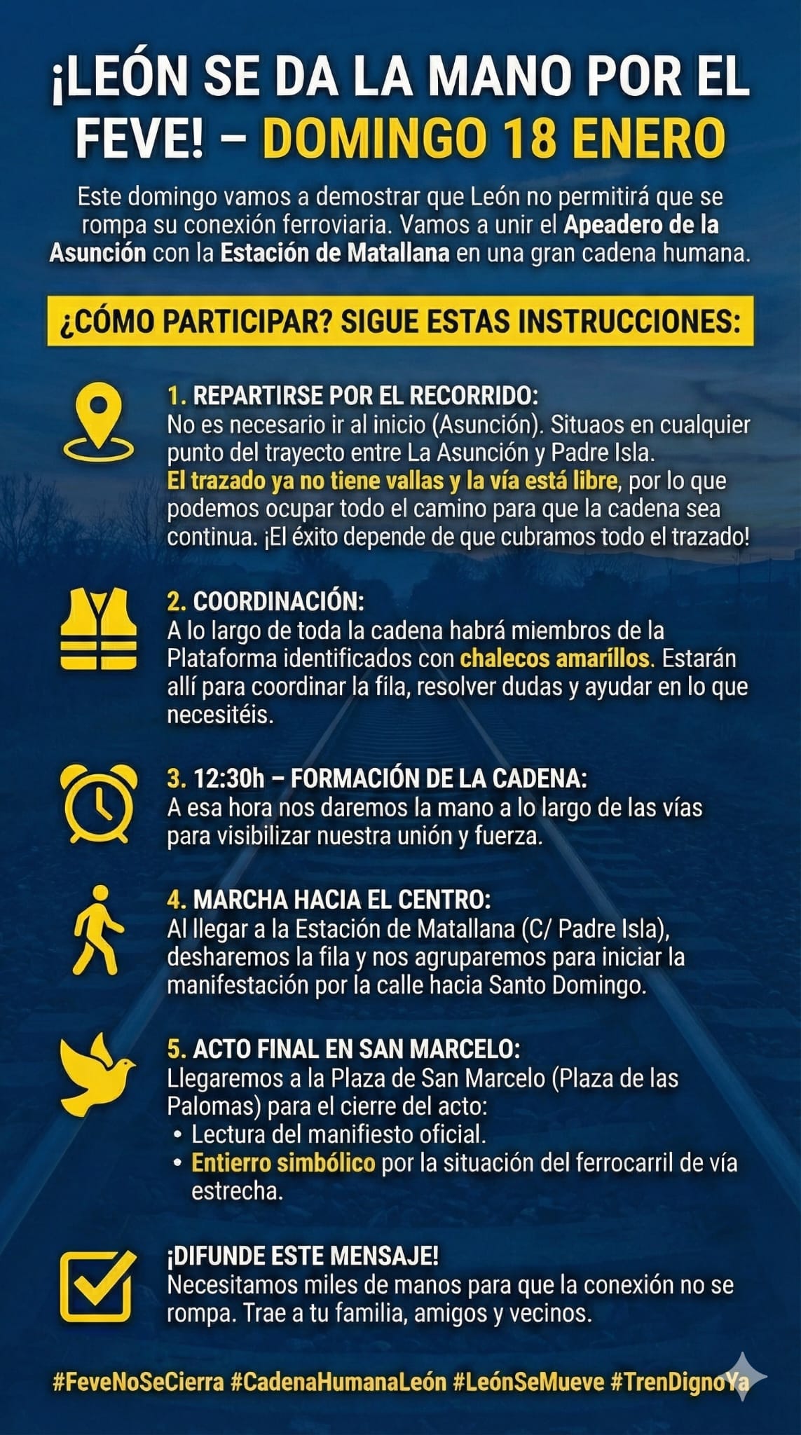 Cartel de la manifestación del 18 de enero para exigir que el servicio de vía estrecha vuelva a la estación de Matallana.L.N.C.