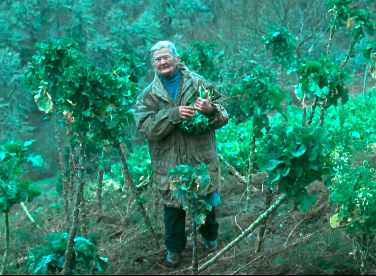 Benedicta, protagonista de O que Arde, en el centro de su simbólico Berzal.