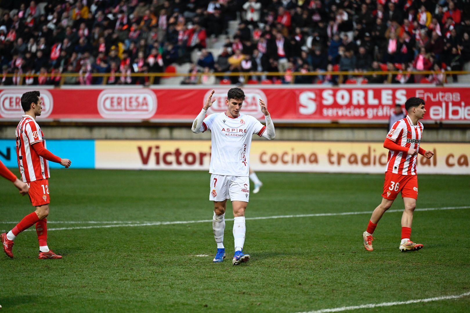 Cultural   Sporting (1)