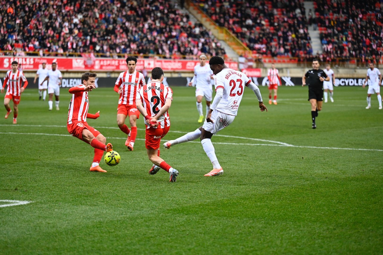 Cultural   Sporting (15)