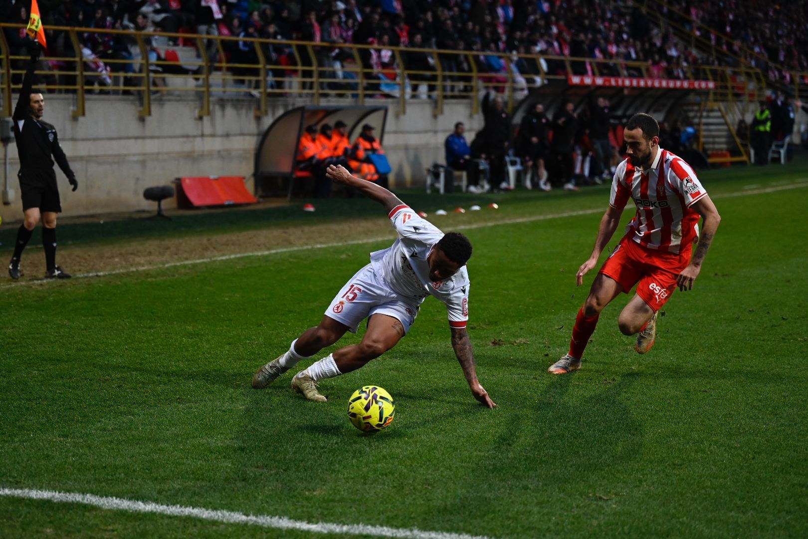 Cultural   Sporting (19)