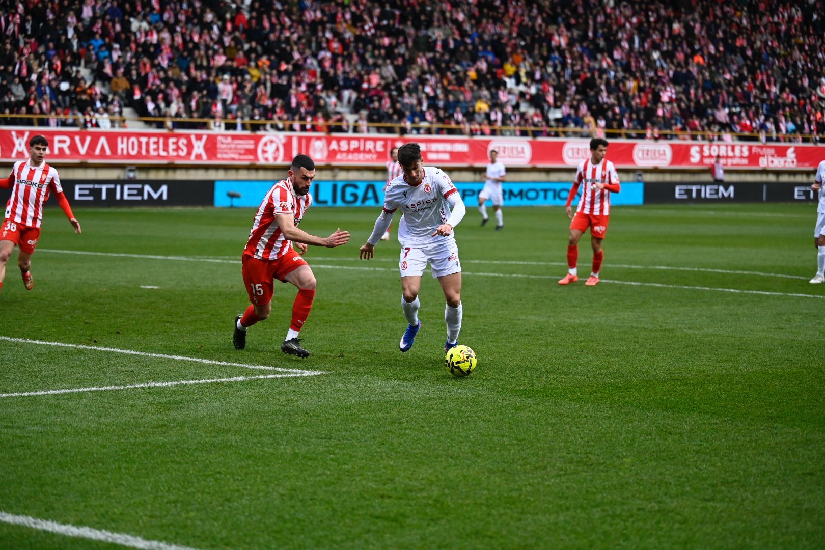 Cultural   Sporting (35)