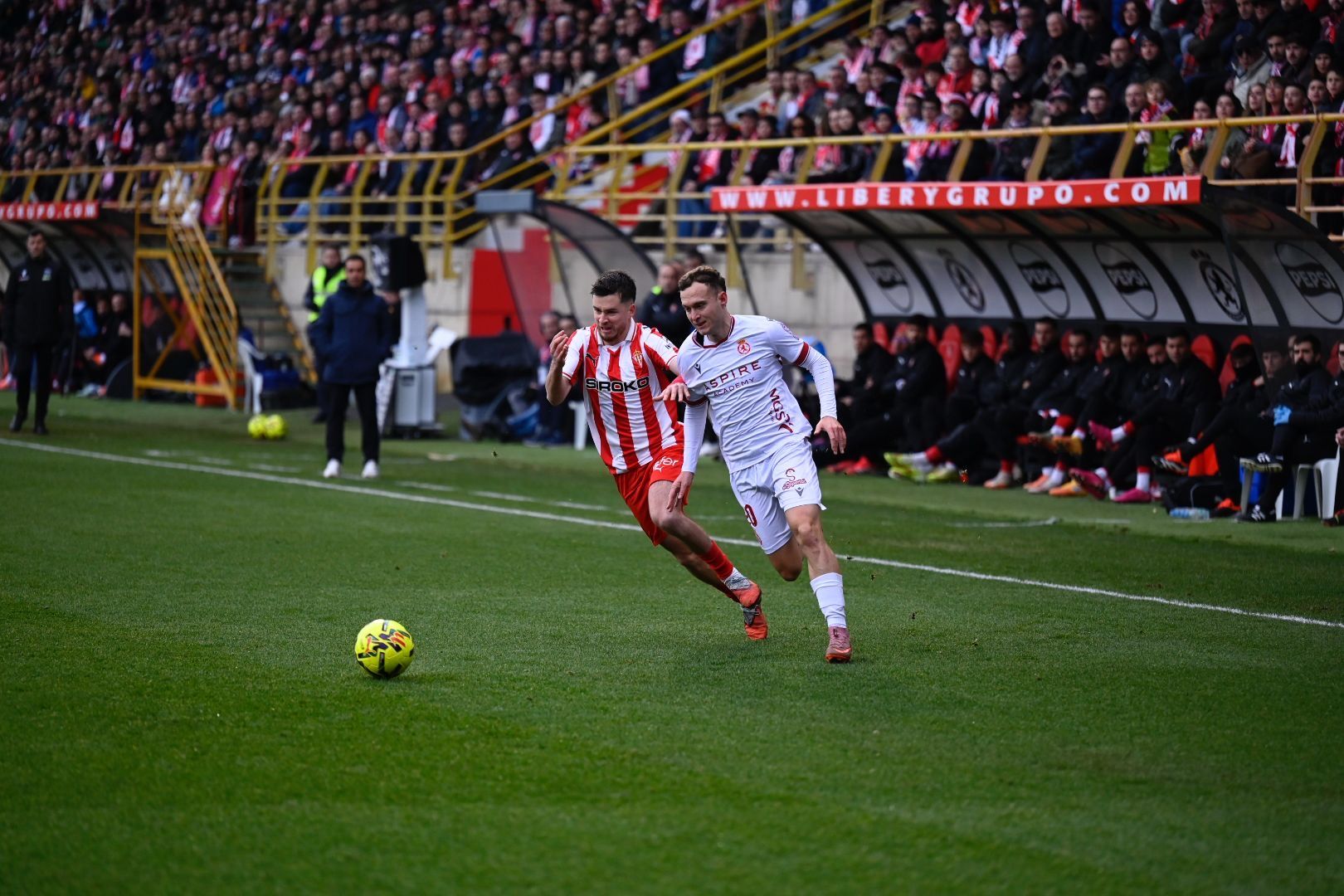 Cultural   Sporting (36)