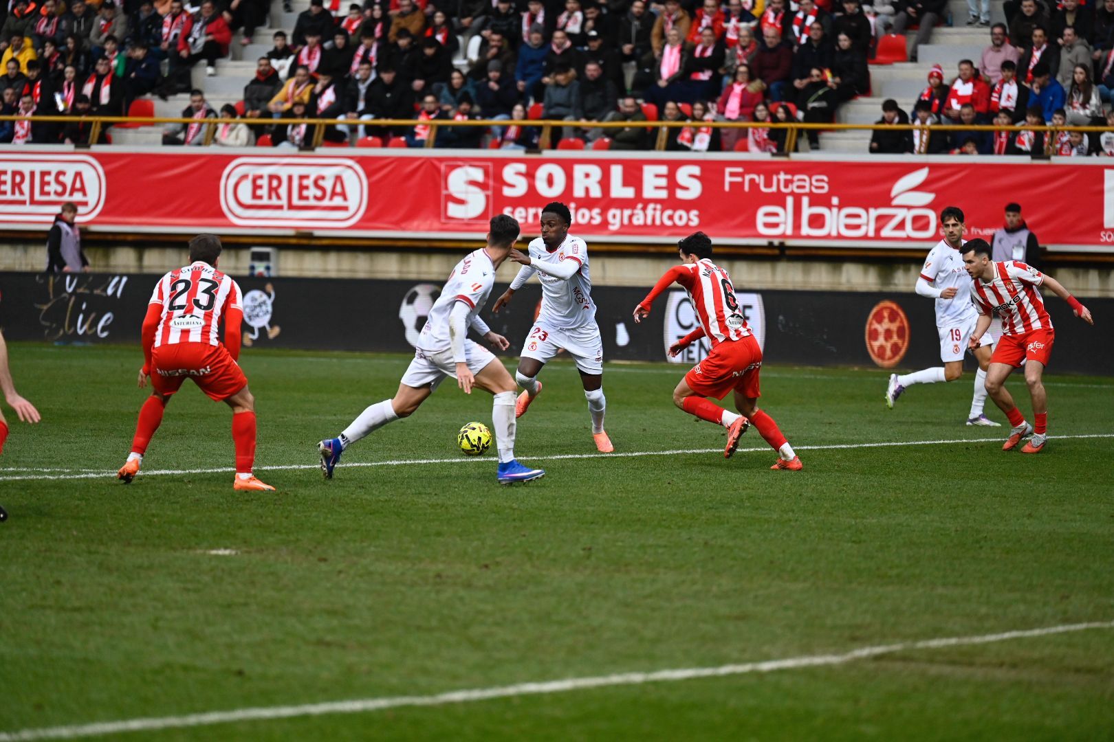 Cultural   Sporting (43)