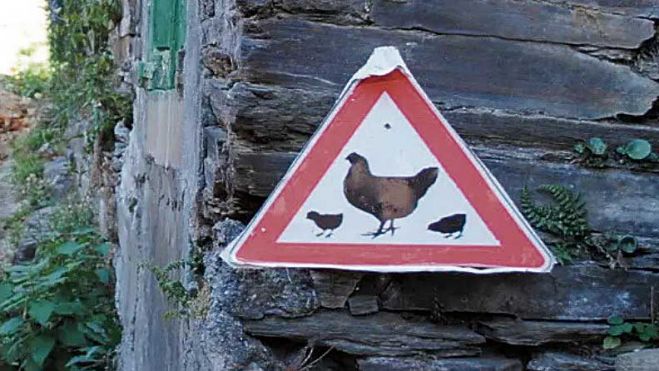 ‘Peligro, gallinas sueltas’ fue otro cartel que se pudo ver por la provincia