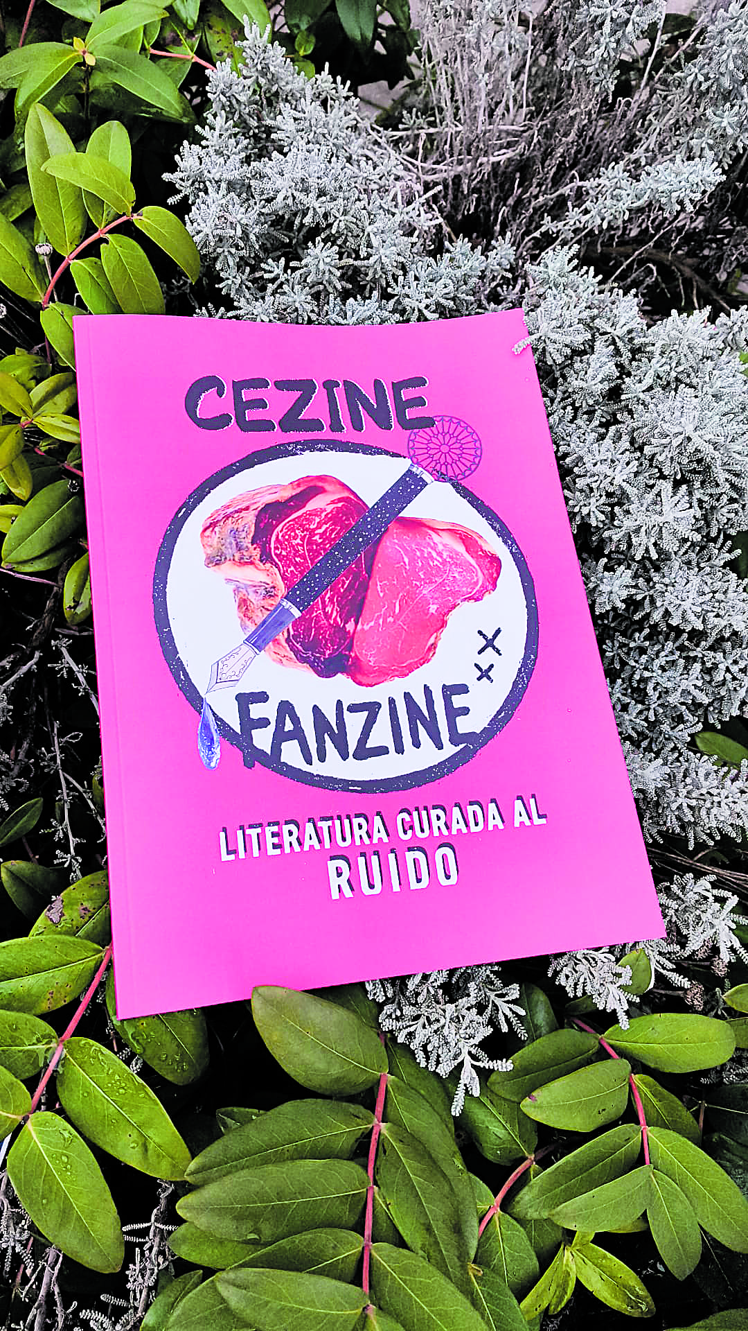 Portada del nuevo fanzine que este jueves se presenta en el Cincinatti. | L.N.C.