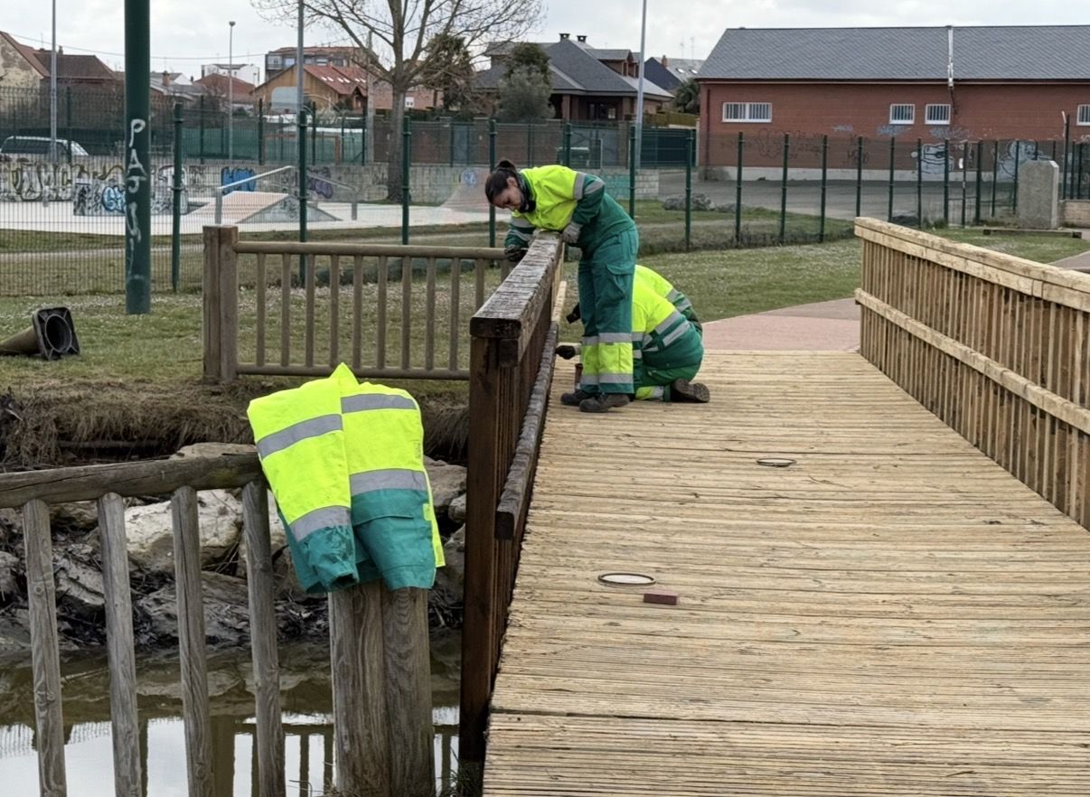 San Andrés del Rabanedo ha contratado ocho jardineros, diez barrenderos y dos conserjes para la limpieza de calles y jardines. | L.N.C.