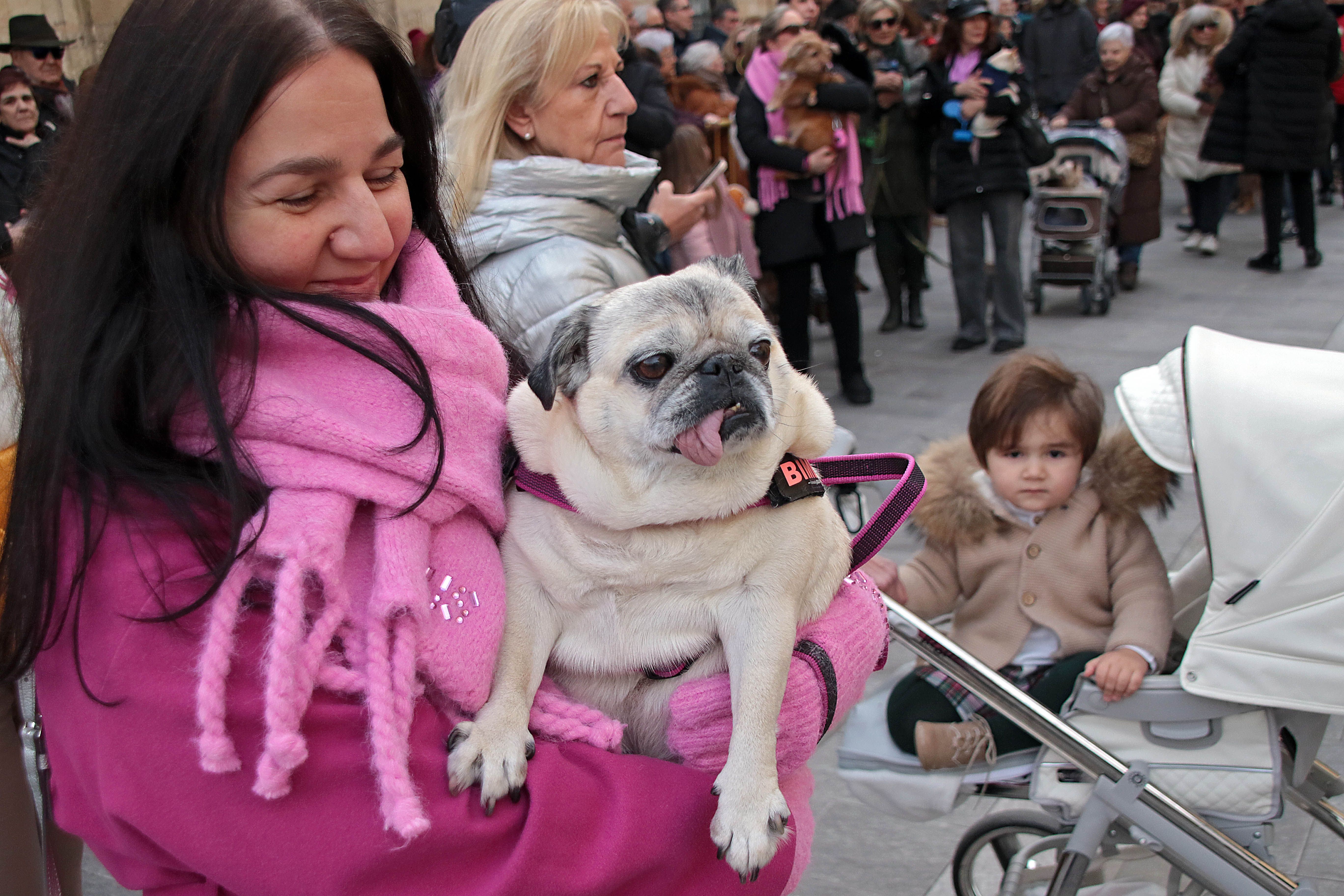 San Antón reúne a decenas de mascotas en León para la tradicional bendición de animales | PEIO GARCÍA (Ical)