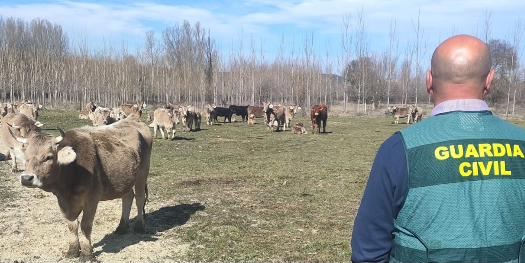 La Guardia Civil, en su visita a la instalación ganadera