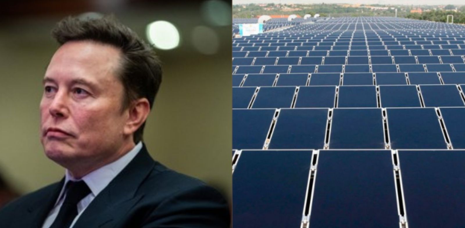 Elon Musk anima a convertir la España vaciada en la 'central eléctrica' de Europa a través de la energía solar