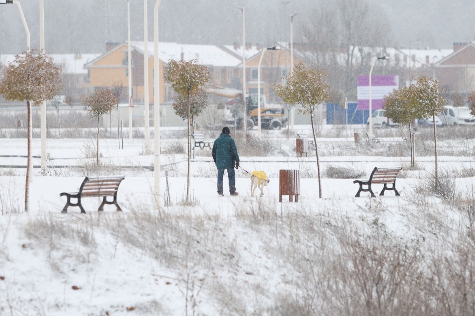 Las fotos de la nevada en León capital.