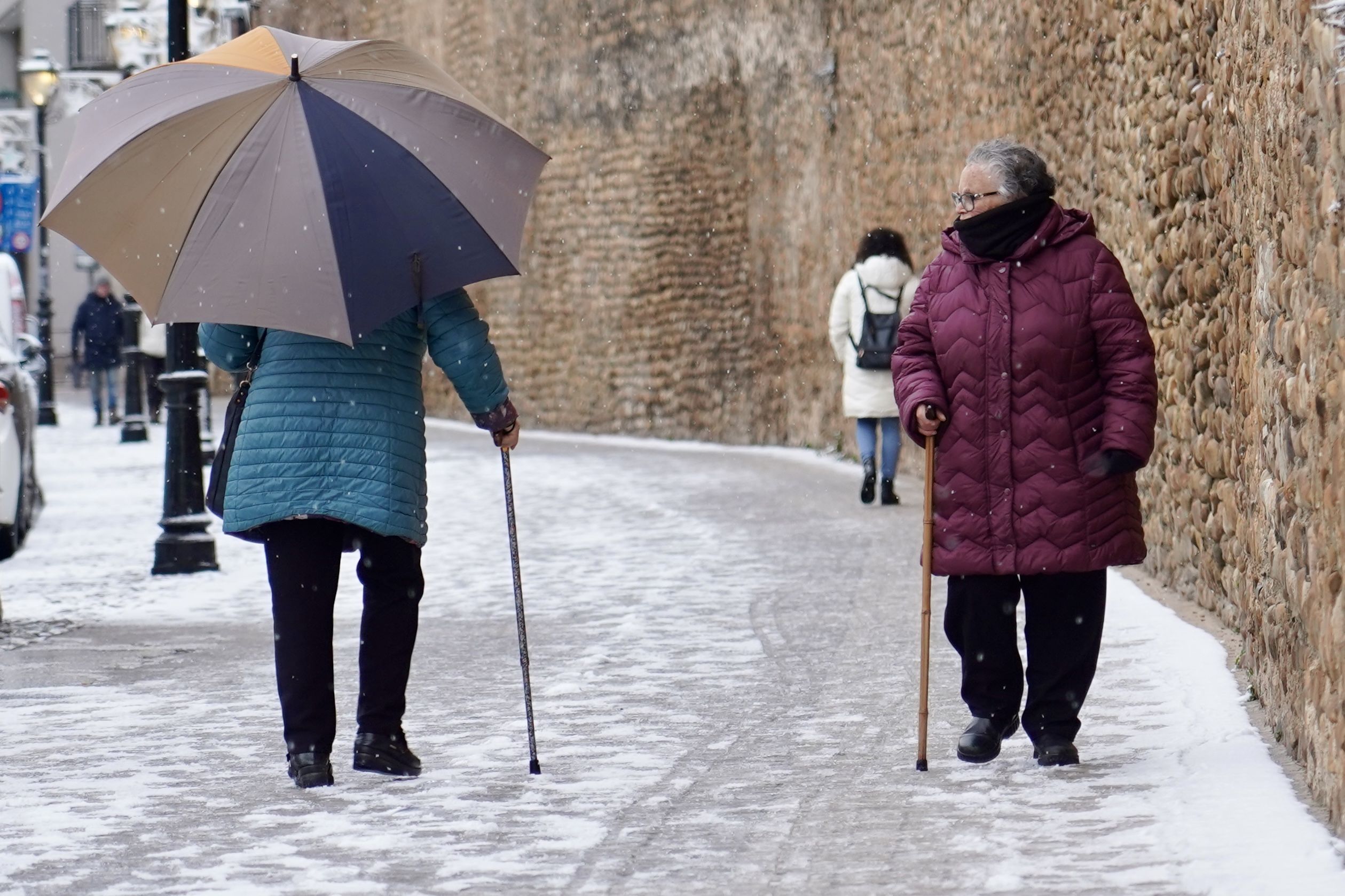 Las fotos de la nevada en León capital.