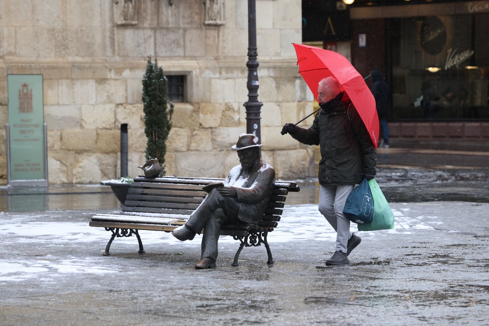 Las fotos de la nevada en León capital.