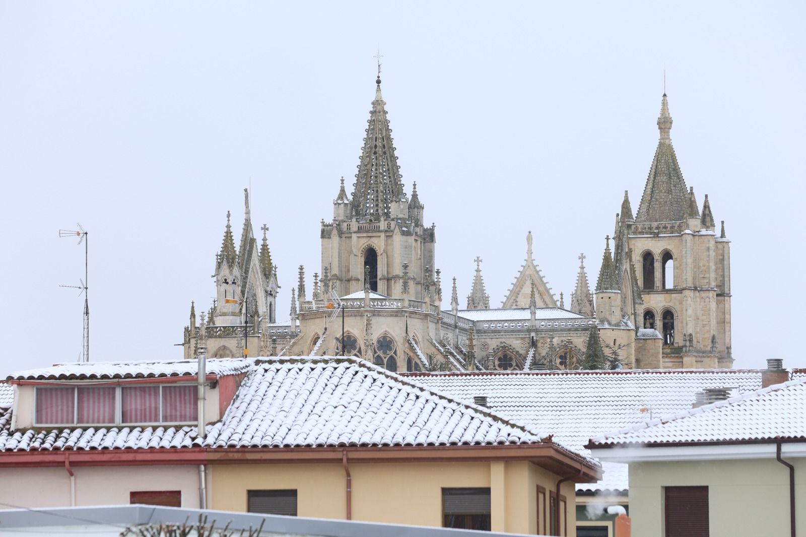 Las fotos de la nevada en León capital.