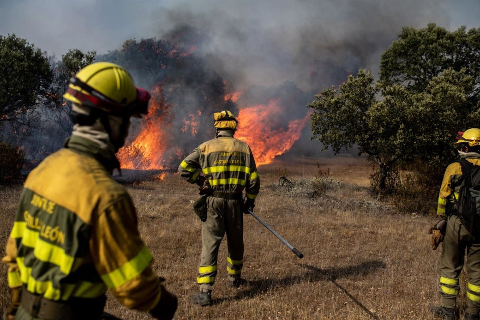 magen de archivo de los bomberos de la Junta en los incendios del pasado verano | E.P. magen de archivo de los bomberos de la Junta en los incendios del pasado verano | E.P.
