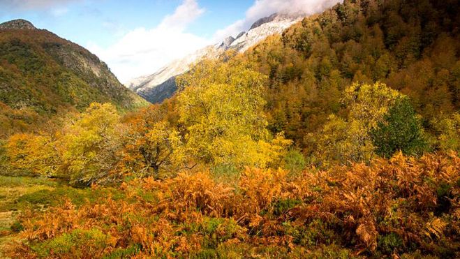 Vegabaño, un verdadero paraíso en otoño. | JAVIER VALLADARES