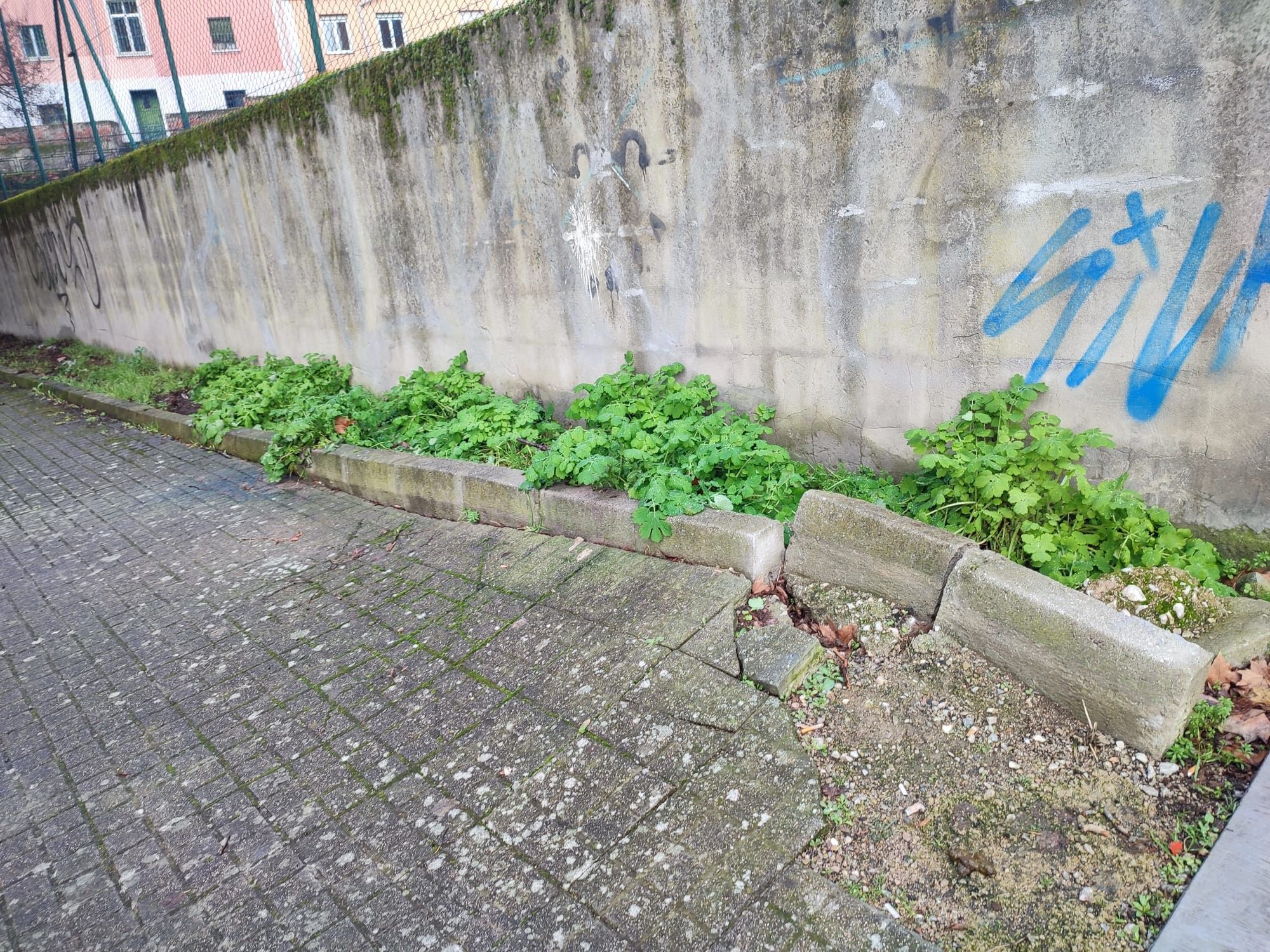 Mal estado de las aceras denunciado por el PSOE.