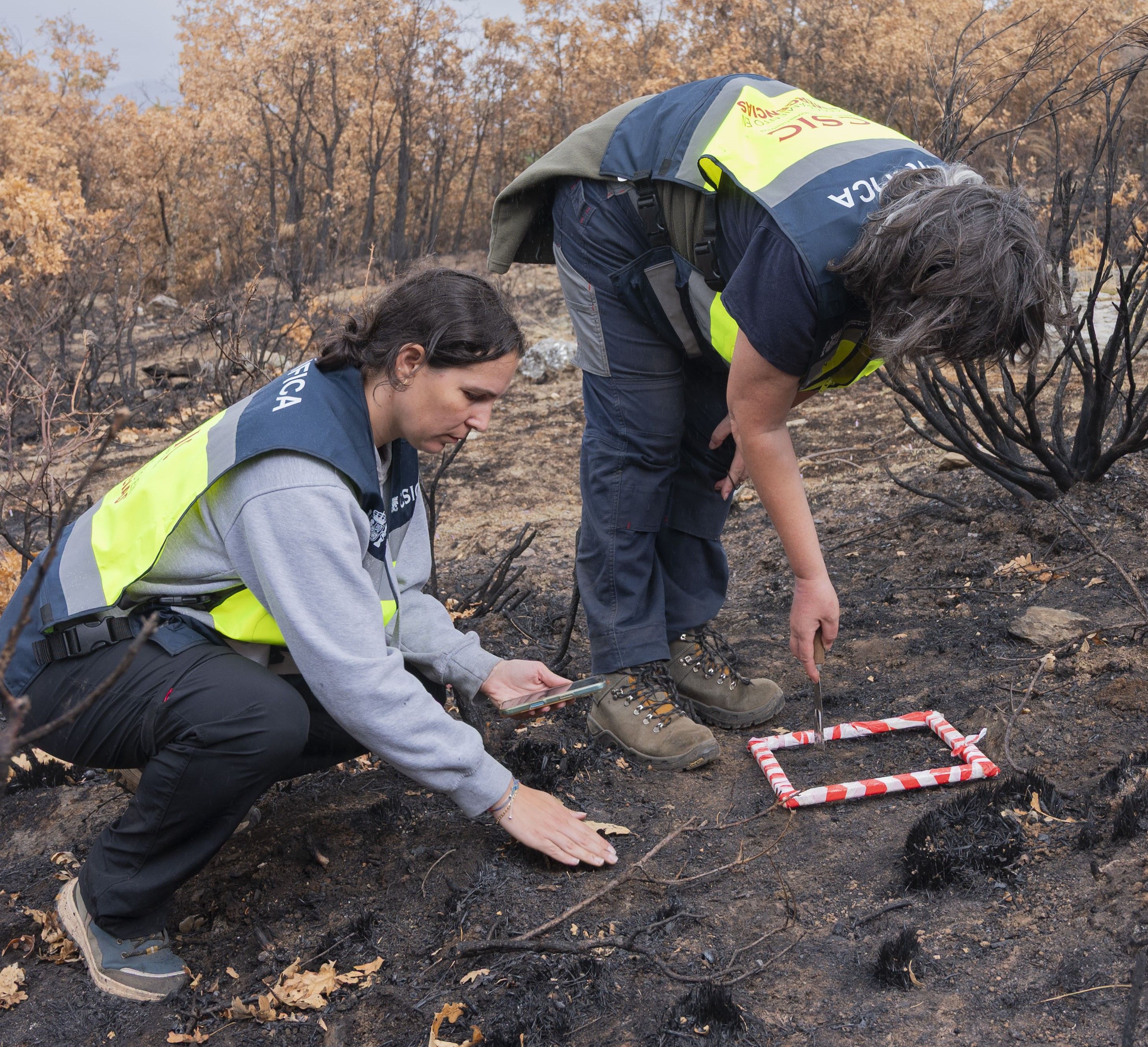 ´Trabajos realizados en Médulas. 