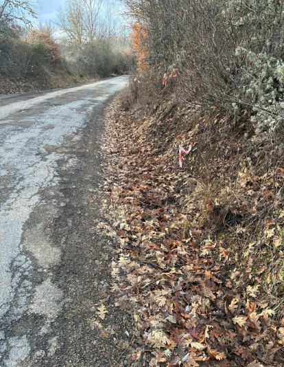 Vecinos y usuarios denuncian el mal estado de la carretera entre Sotillos y Gradedes.(4)