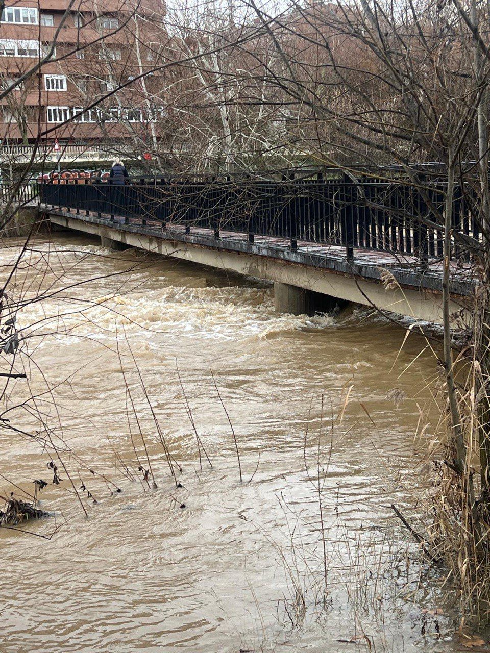 El rio Bernesga este martes a su paso por León